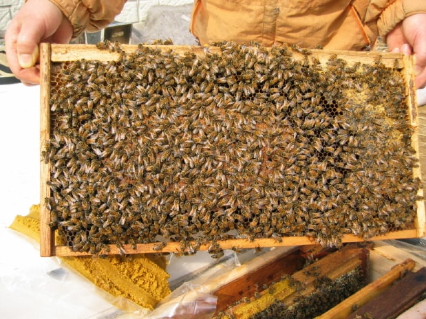 1  ڶմϴ.