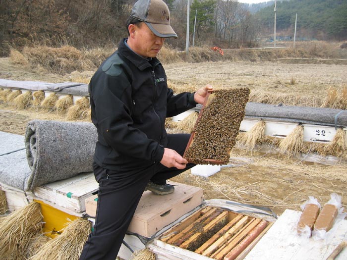 ��2�� ���⳻��(���������� �����ϴ� ���)